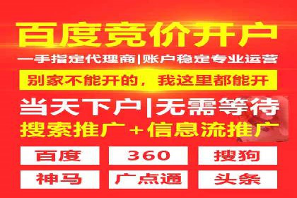 互联网公司SEM代运营成功案例剖析